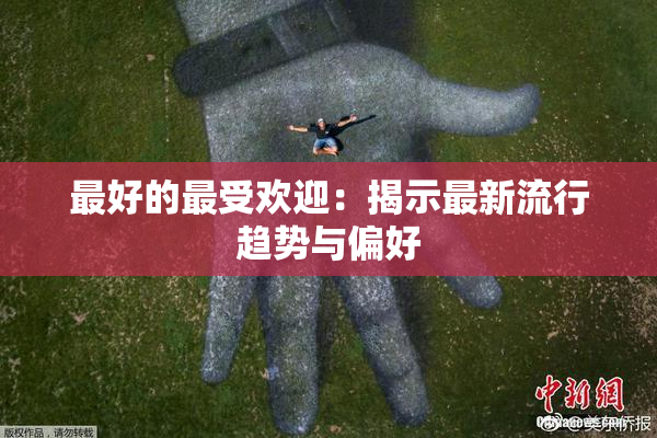 最好的最受欢迎：揭示最新流行趋势与偏好