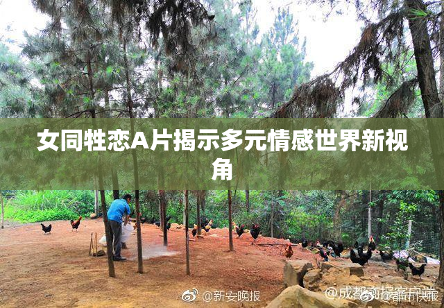 女同牲恋A片揭示多元情感世界新视角