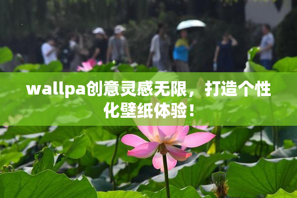 wallpa创意灵感无限，打造个性化壁纸体验！