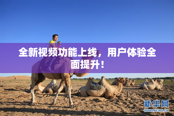 全新视频功能上线，用户体验全面提升！