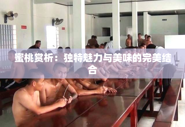 蜜桃赏析：独特魅力与美味的完美结合