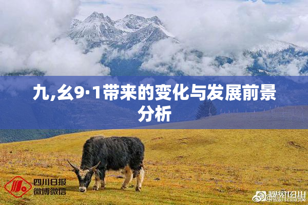 九,幺9·1带来的变化与发展前景分析