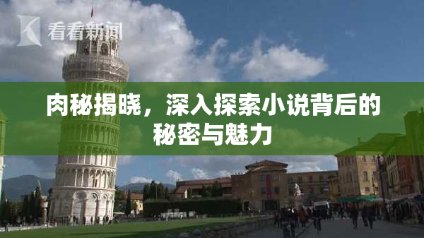 肉秘揭晓，深入探索小说背后的秘密与魅力