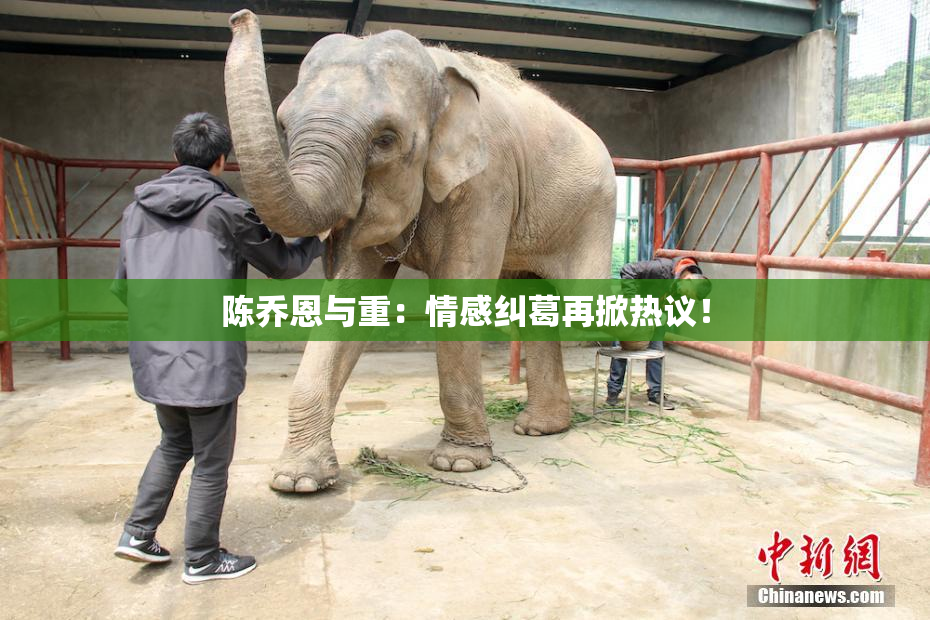 陈乔恩与重：情感纠葛再掀热议！