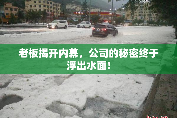 老板揭开内幕，公司的秘密终于浮出水面！