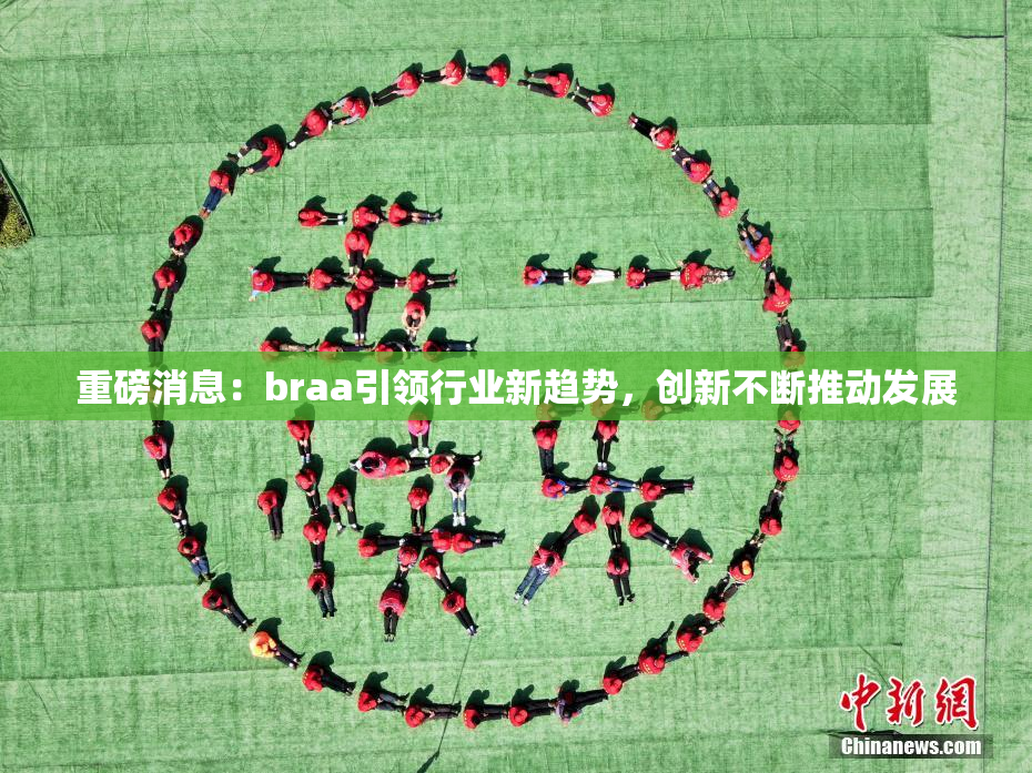 重磅消息：braa引领行业新趋势，创新不断推动发展