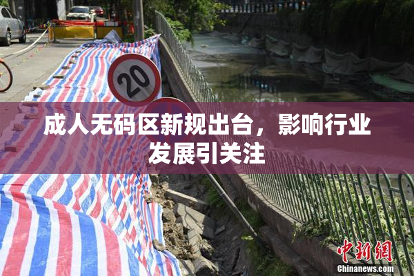 成人无码区新规出台，影响行业发展引关注