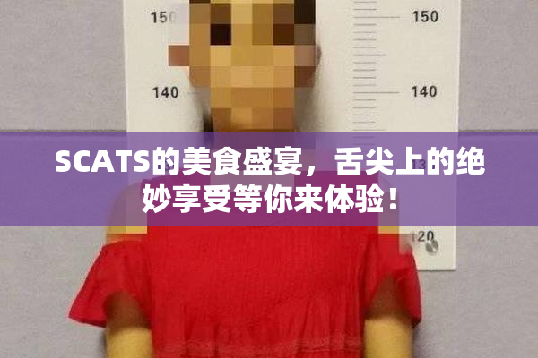 SCATS的美食盛宴，舌尖上的绝妙享受等你来体验！