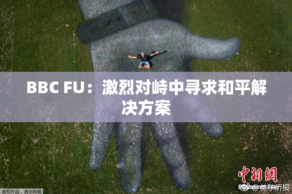 BBC FU：激烈对峙中寻求和平解决方案
