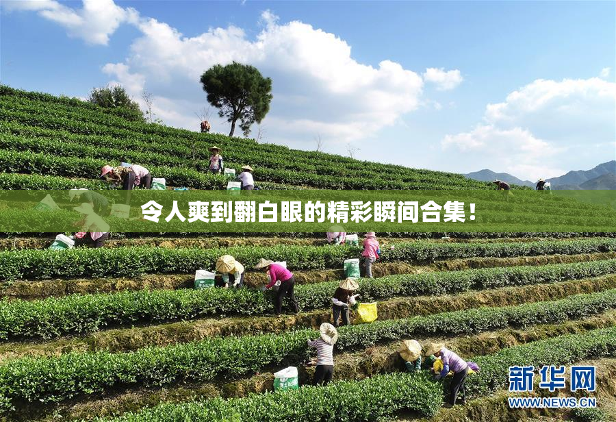 令人爽到翻白眼的精彩瞬间合集！