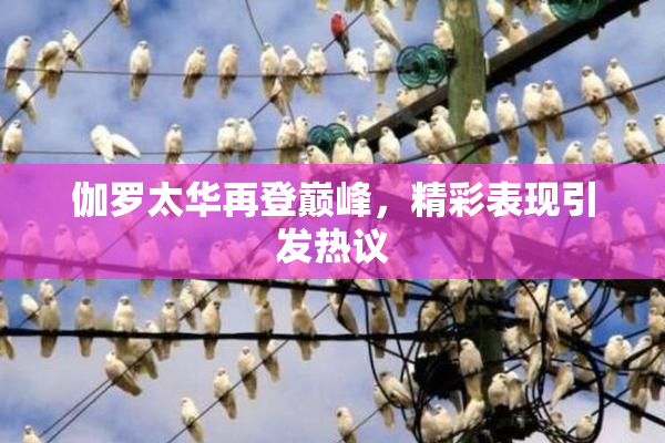 伽罗太华再登巅峰，精彩表现引发热议
