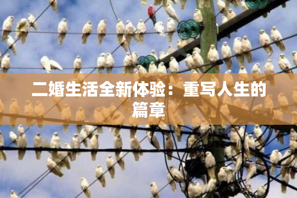 二婚生活全新体验：重写人生的篇章