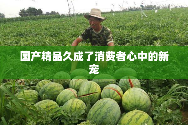 国产精品久成了消费者心中的新宠