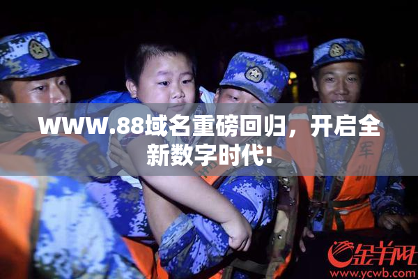 WWW.88域名重磅回归，开启全新数字时代!