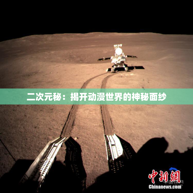 二次元秘：揭开动漫世界的神秘面纱