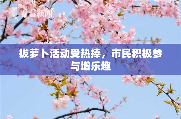 拔萝卜活动受热捧，市民积极参与增乐趣