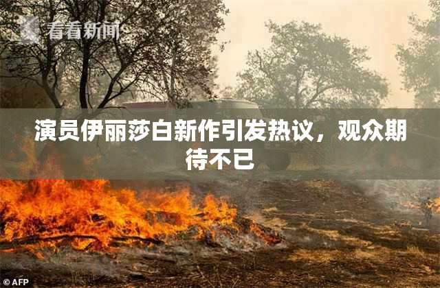 演员伊丽莎白新作引发热议，观众期待不已