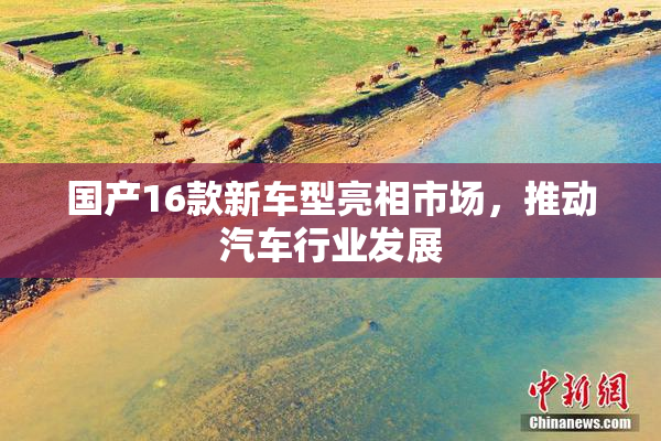 国产16款新车型亮相市场，推动汽车行业发展