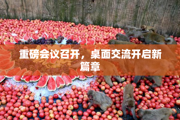 重磅会议召开，桌面交流开启新篇章