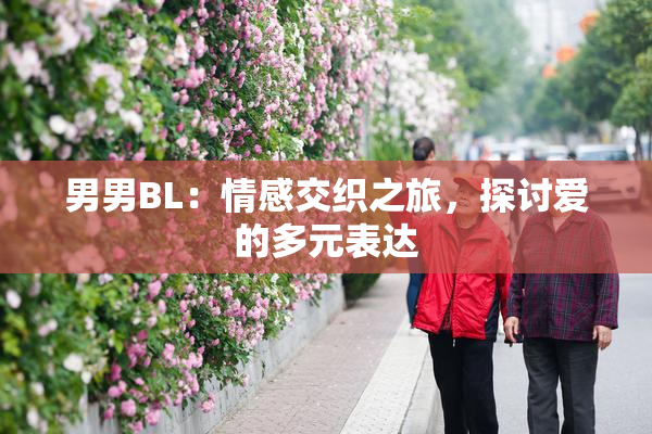 男男BL：情感交织之旅，探讨爱的多元表达