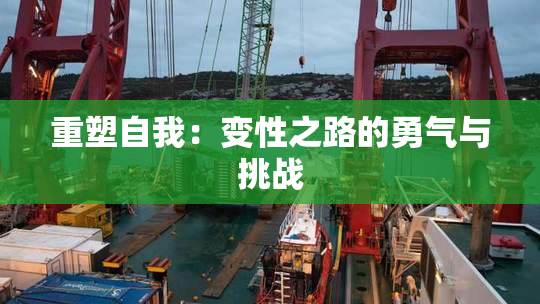 重塑自我：变性之路的勇气与挑战