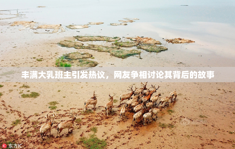 丰满大乳班主引发热议，网友争相讨论其背后的故事