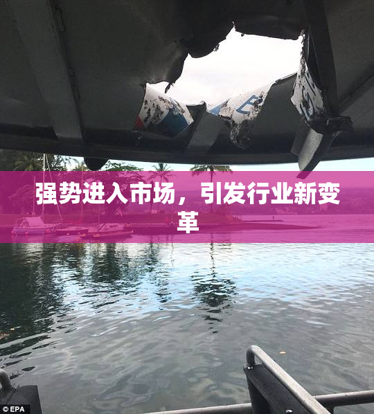 强势进入市场，引发行业新变革