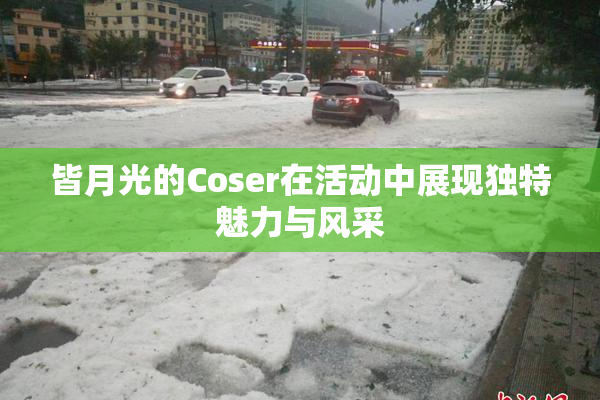 皆月光的Coser在活动中展现独特魅力与风采