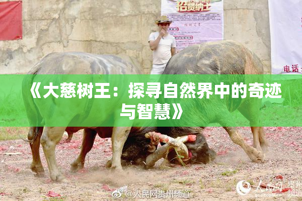 《大慈树王：探寻自然界中的奇迹与智慧》