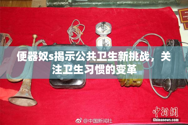 便器奴s揭示公共卫生新挑战，关注卫生习惯的变革
