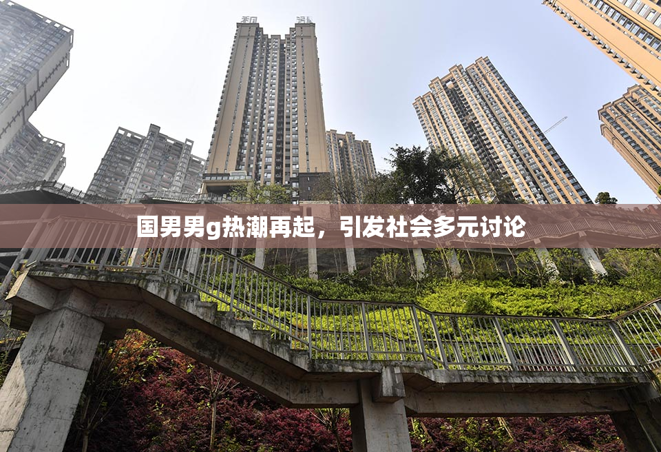 国男男g热潮再起，引发社会多元讨论