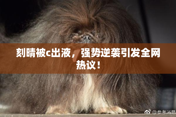 刻晴被c出液，强势逆袭引发全网热议！