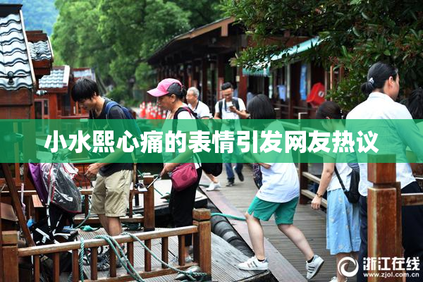 小水熙心痛的表情引发网友热议
