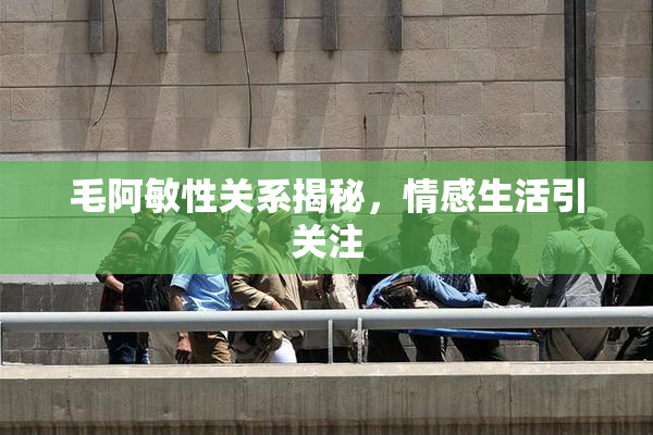 毛阿敏性关系揭秘，情感生活引关注