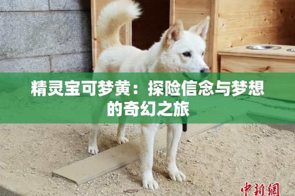 精灵宝可梦黄：探险信念与梦想的奇幻之旅