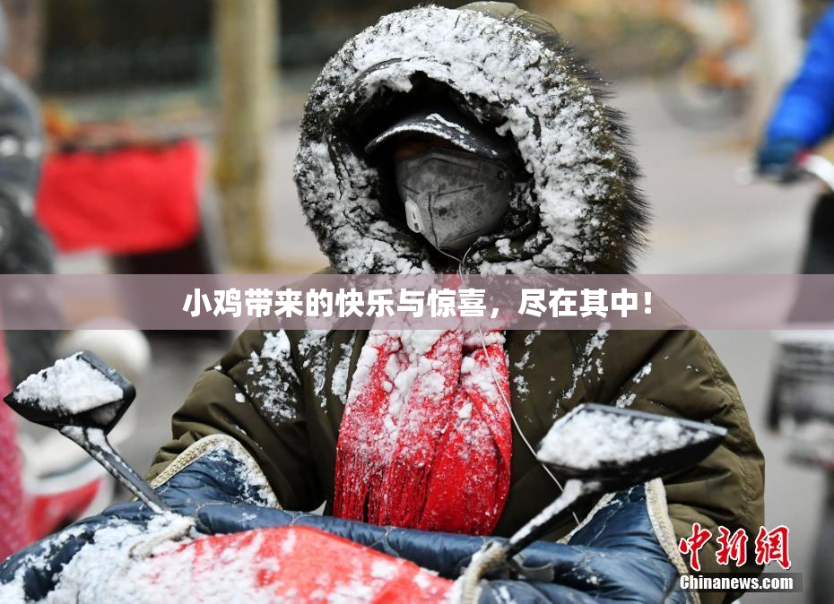 小鸡带来的快乐与惊喜，尽在其中！