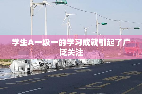 学生A一级一的学习成就引起了广泛关注