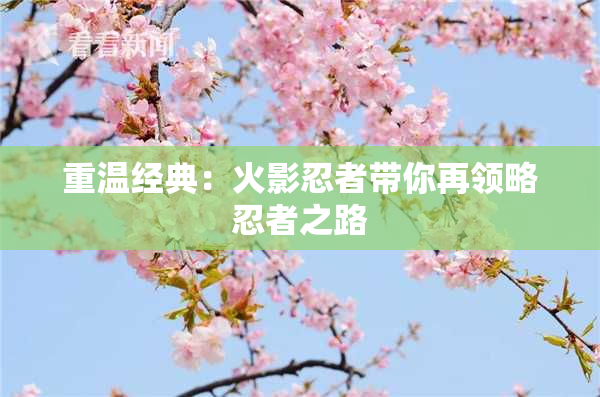 重温经典：火影忍者带你再领略忍者之路