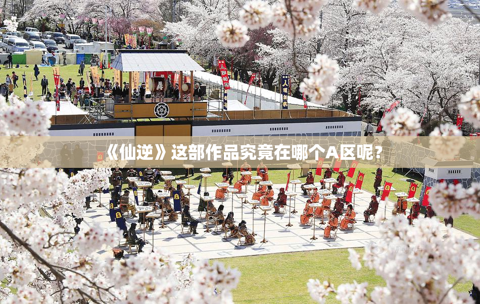 《仙逆》这部作品究竟在哪个A区呢？