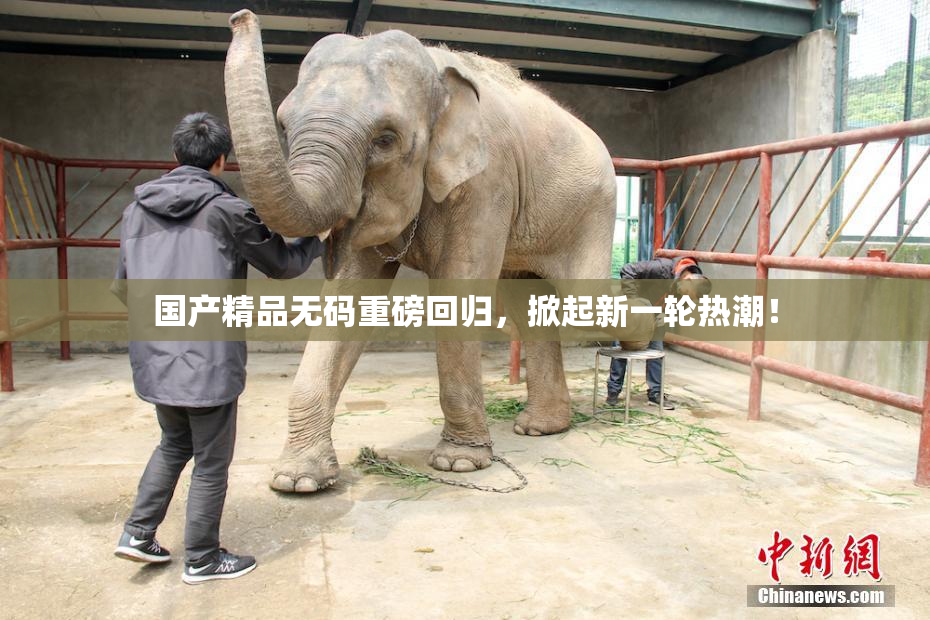 国产精品无码重磅回归，掀起新一轮热潮！