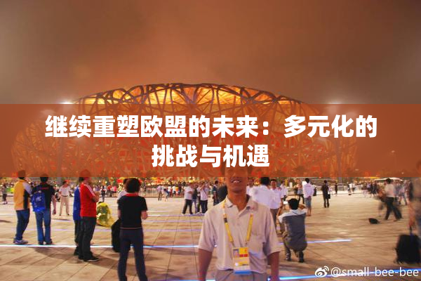 继续重塑欧盟的未来：多元化的挑战与机遇
