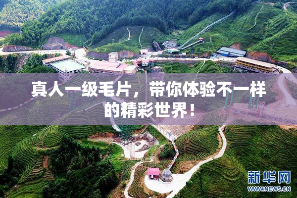 真人一级毛片，带你体验不一样的精彩世界！