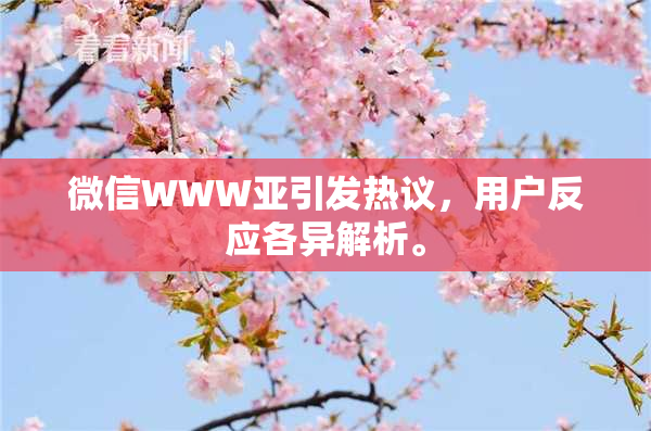 微信WWW亚引发热议，用户反应各异解析。