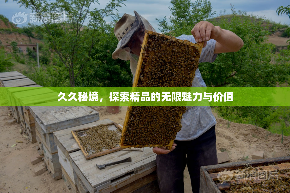 久久秘境，探索精品的无限魅力与价值