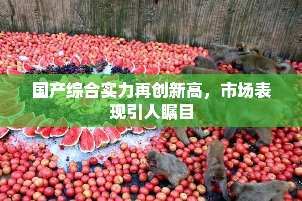 国产综合实力再创新高，市场表现引人瞩目