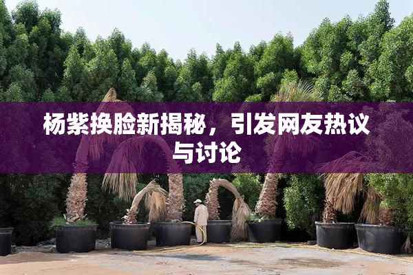 杨紫换脸新揭秘，引发网友热议与讨论