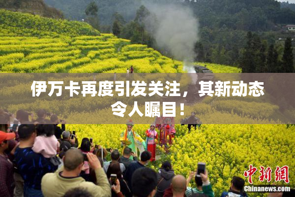 伊万卡再度引发关注，其新动态令人瞩目！