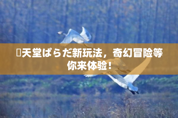 妺天堂ぱらだ新玩法，奇幻冒险等你来体验！