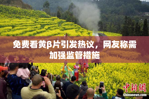 免费看黄β片引发热议，网友称需加强监管措施