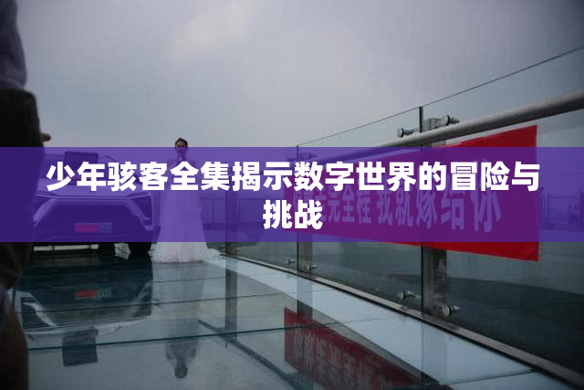 少年骇客全集揭示数字世界的冒险与挑战